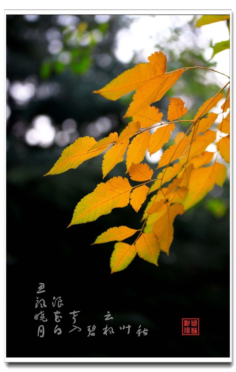 IMG_0527_副本.jpg