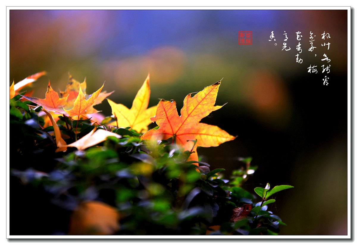 IMG_0582_副本.jpg
