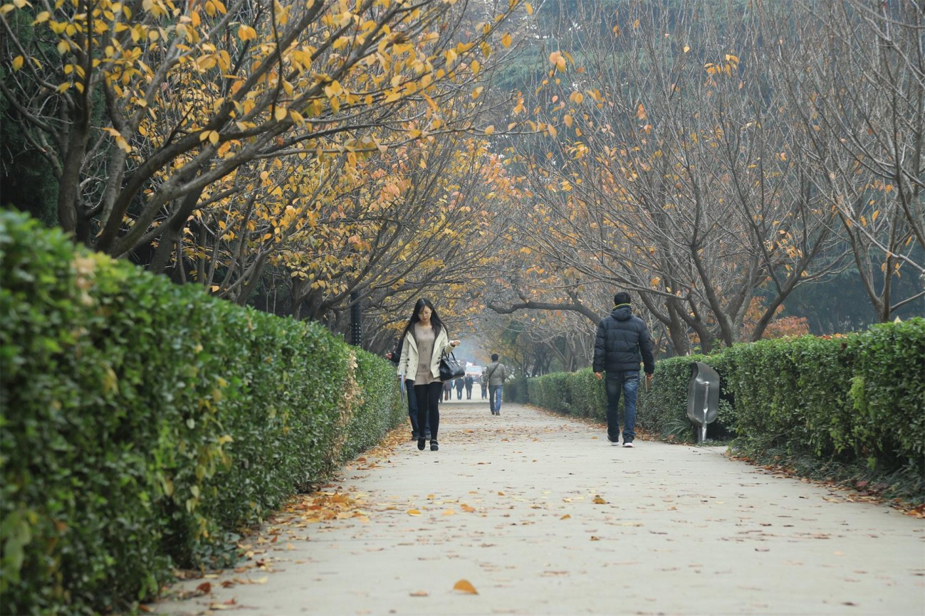 QD5A7366.JPG