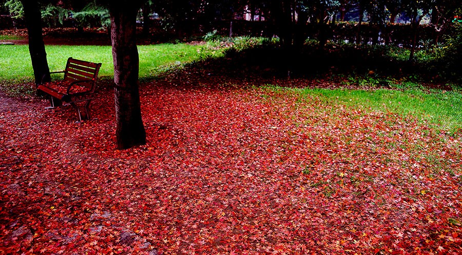 DSC07175改1压.jpg