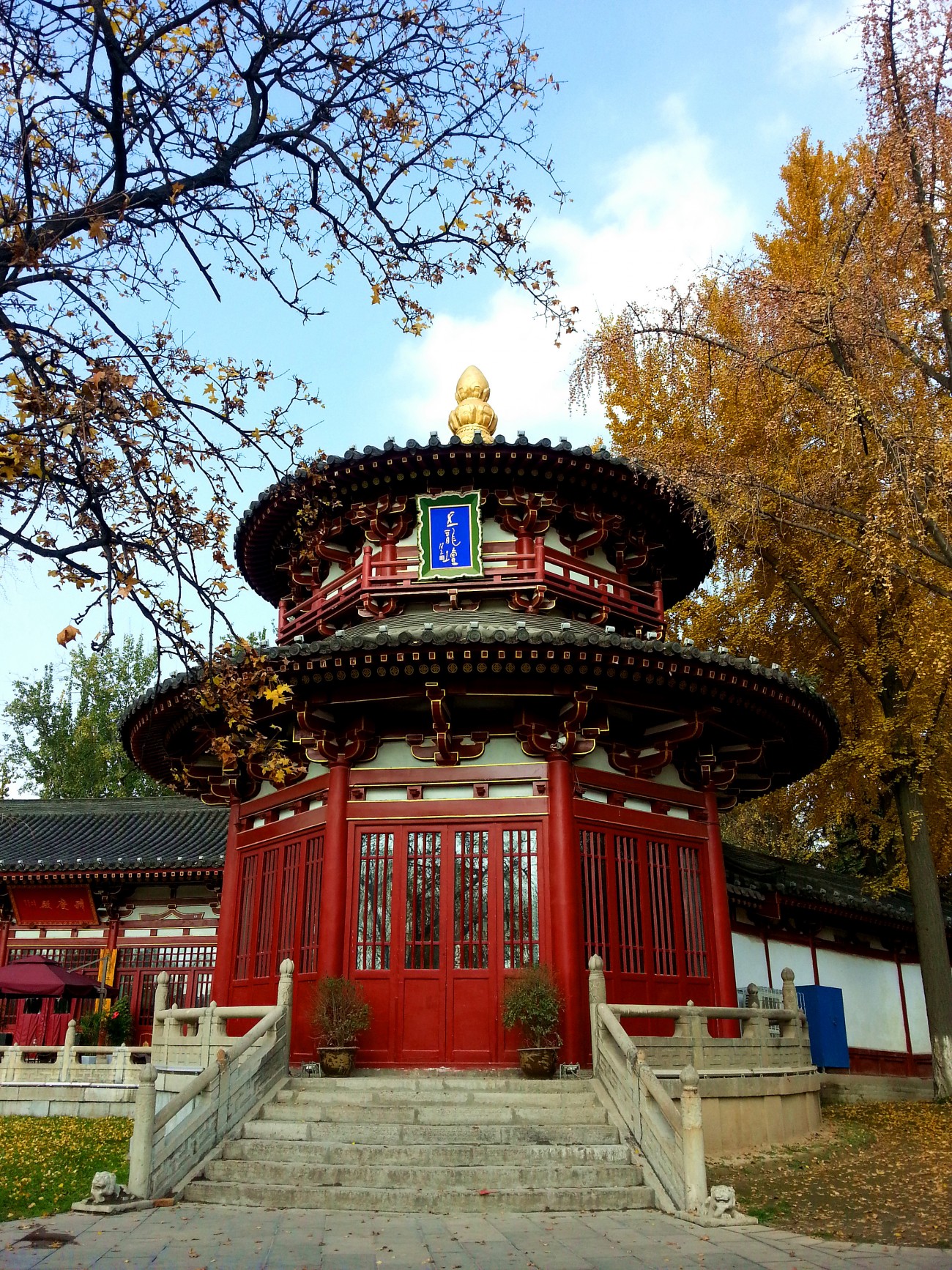 20141125_132515_副本.jpg