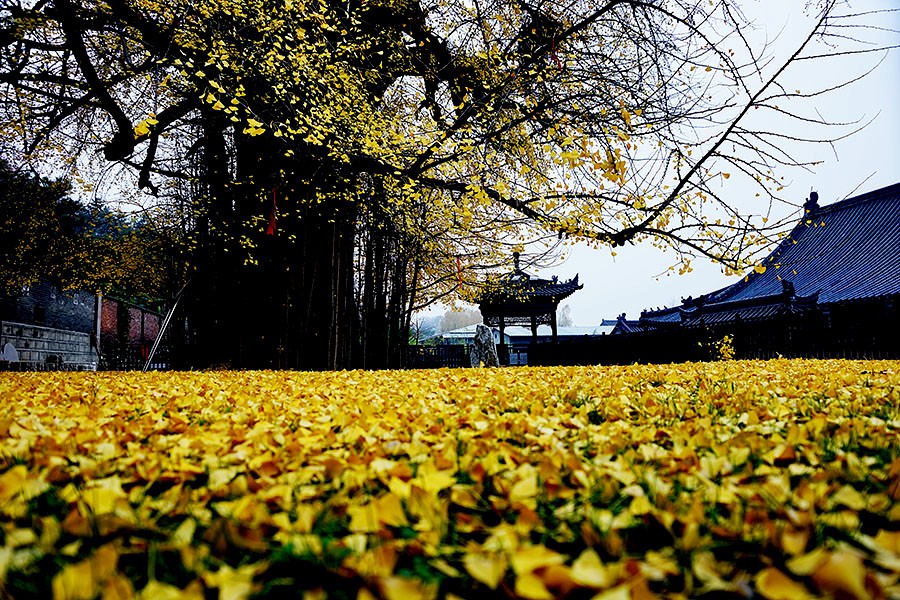 DSC00558改.jpg