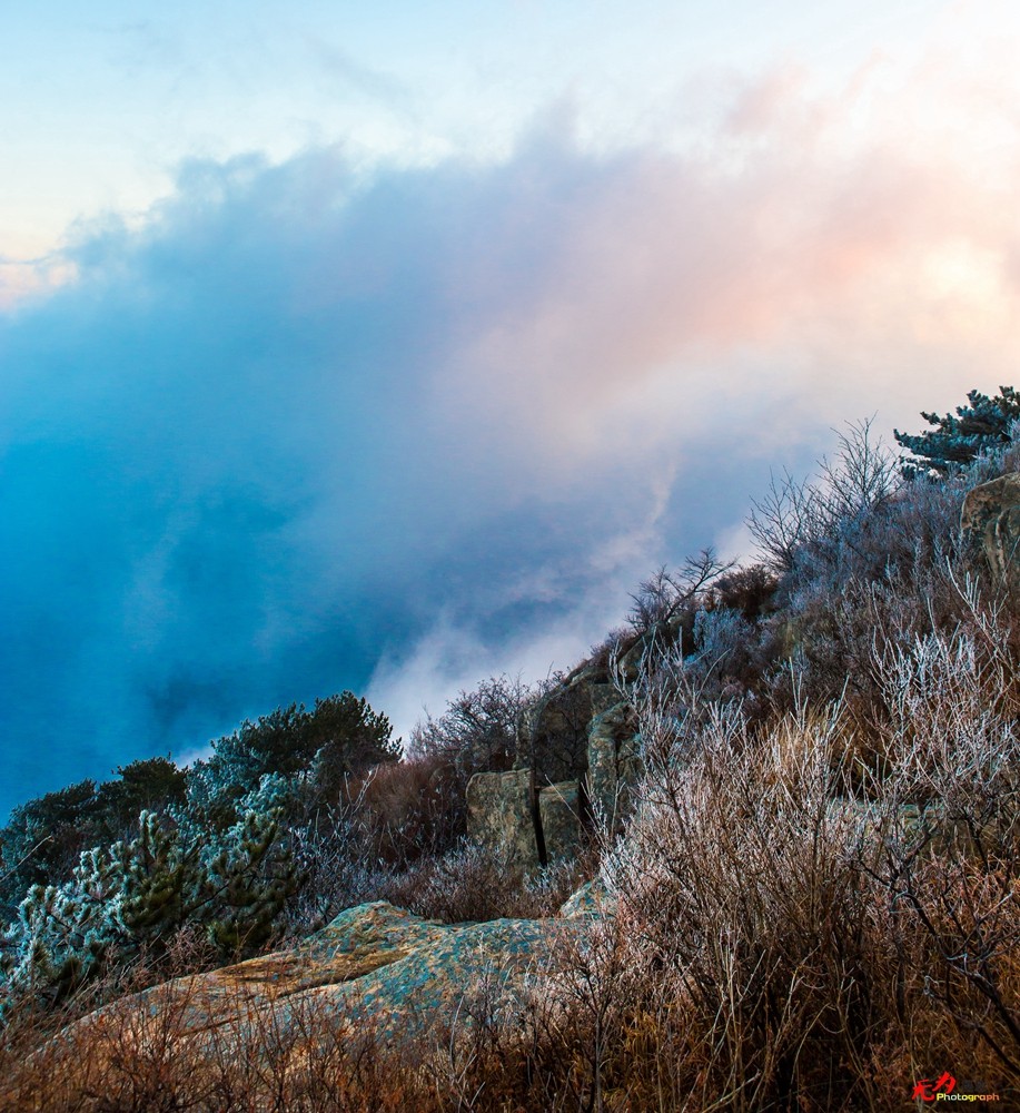山东风光 (54).jpg