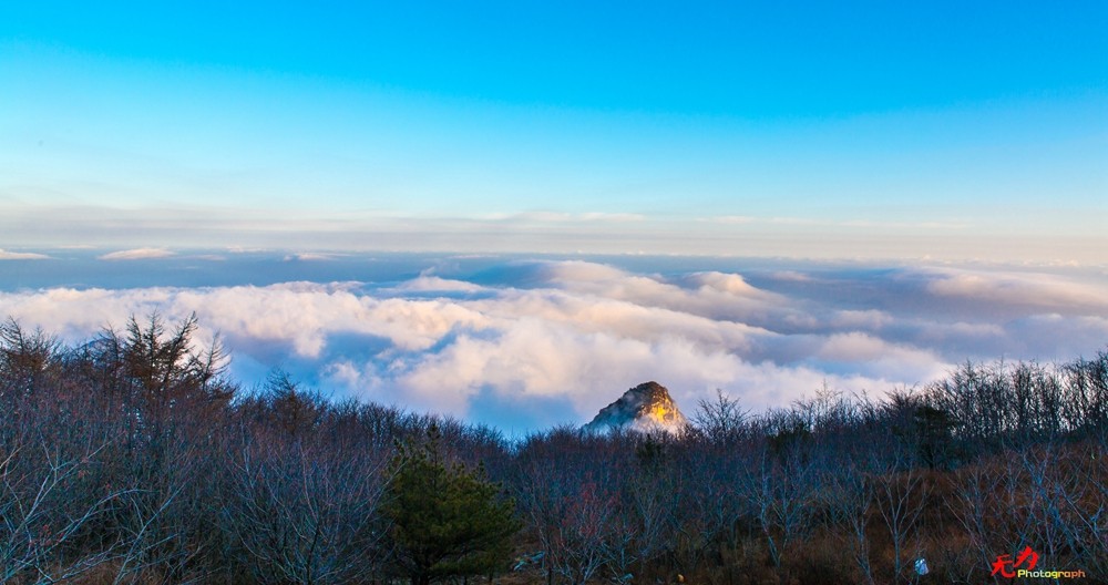 山东风光 (73).jpg