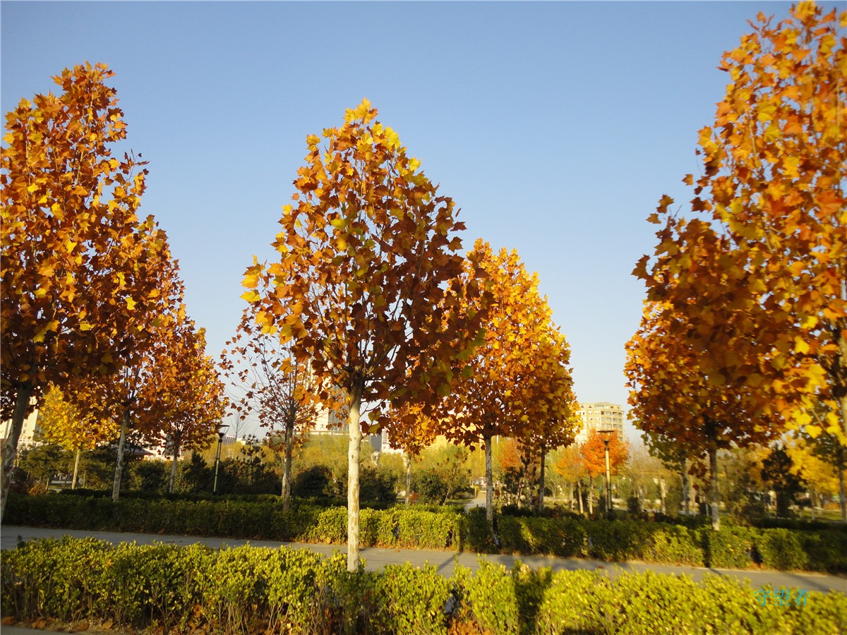 DSC09719_副本.jpg