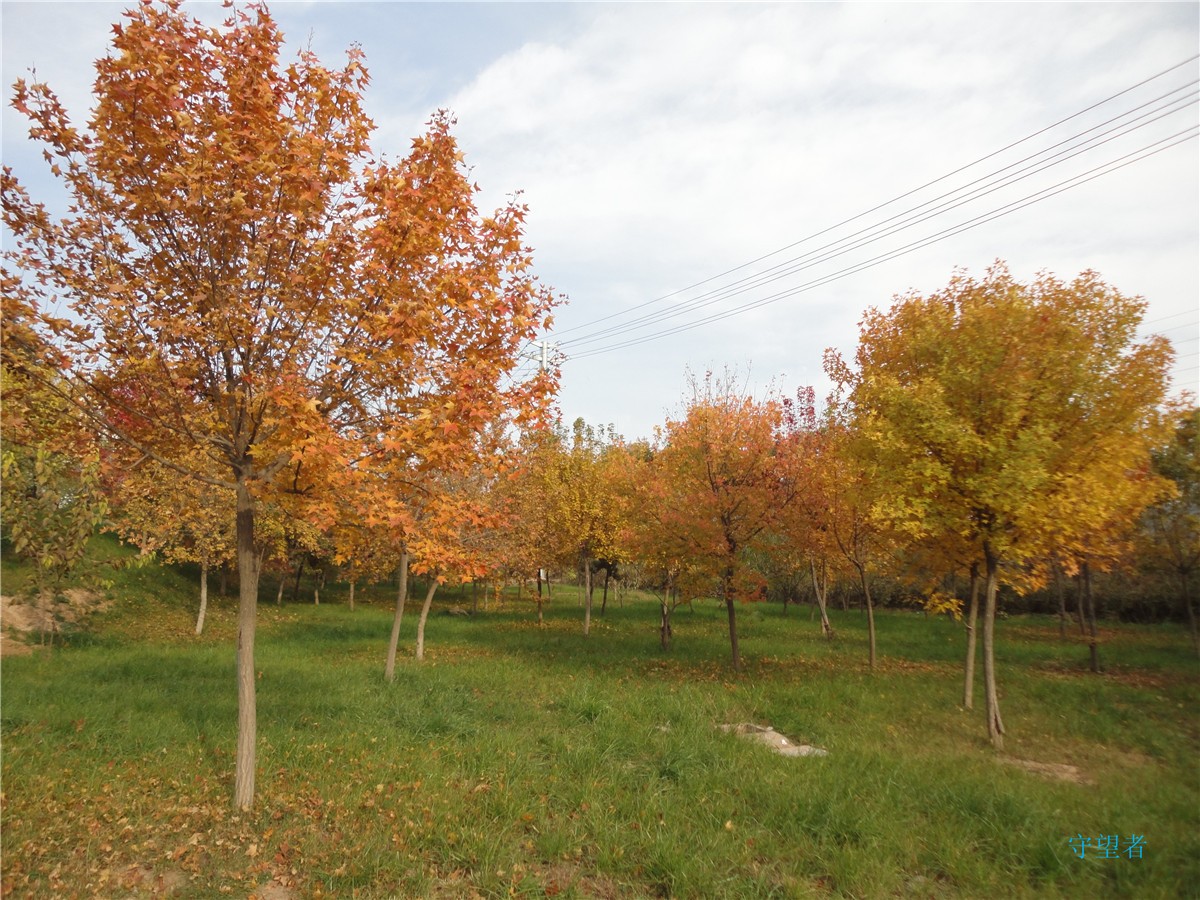DSC09733_副本.jpg