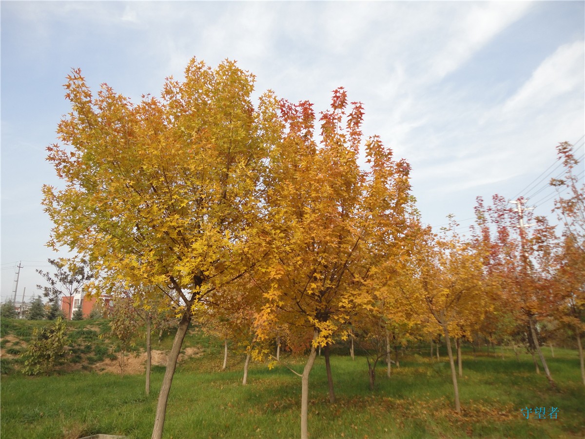 DSC09734_副本.jpg
