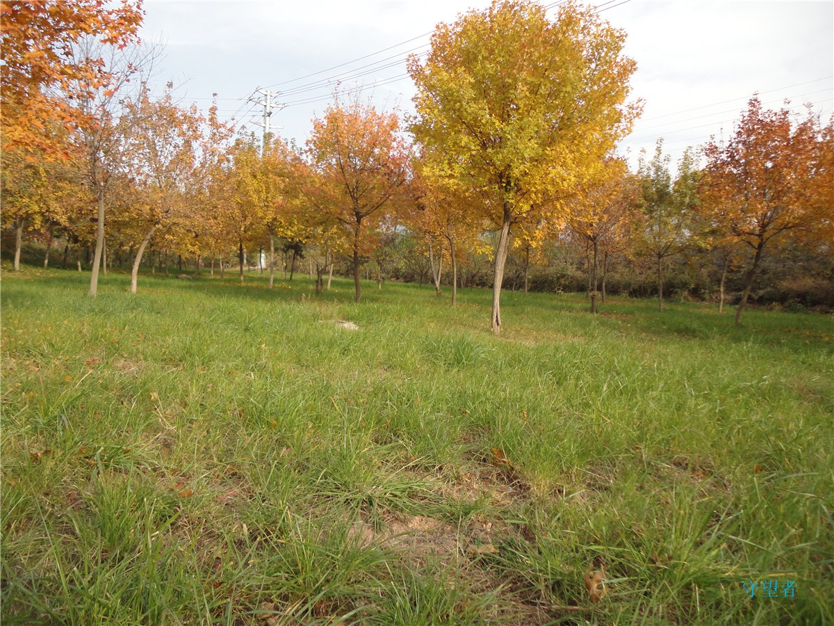 DSC09736_副本.jpg