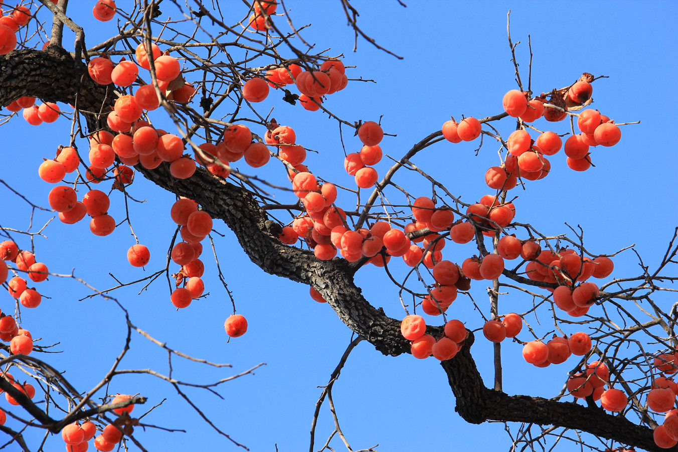 IMG_5937_副本.jpg