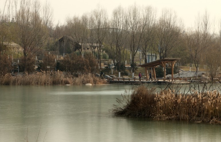 DPP_0010.JPG