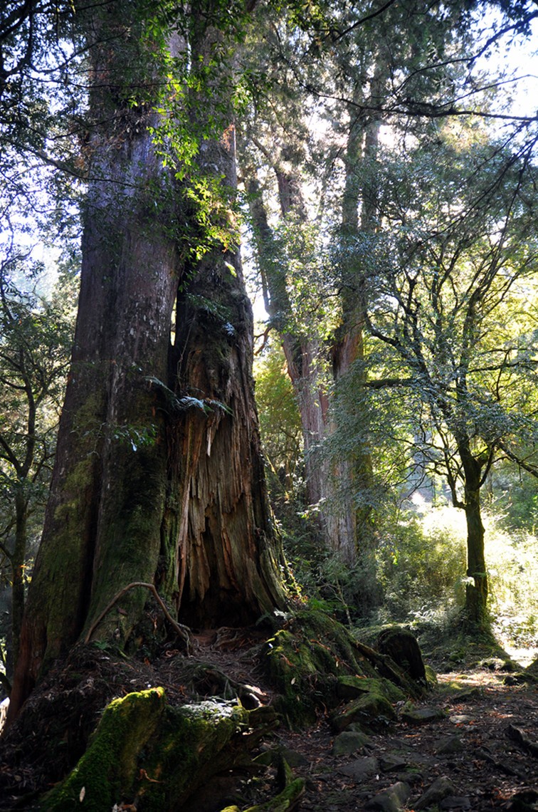 DSC_0771_副本f.jpg