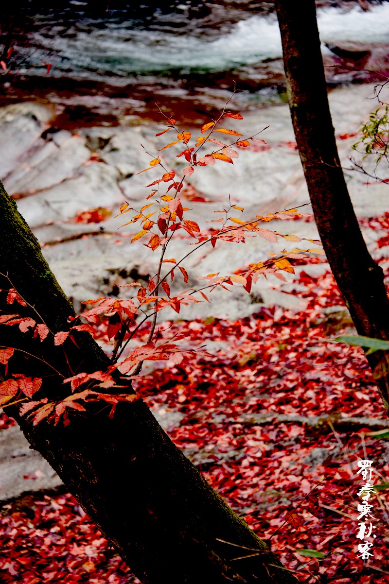 _DSC3876.jpg