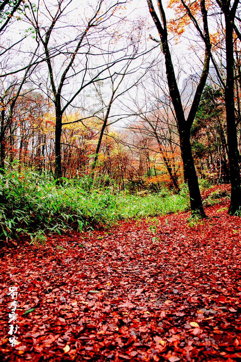 _DSC3936.jpg