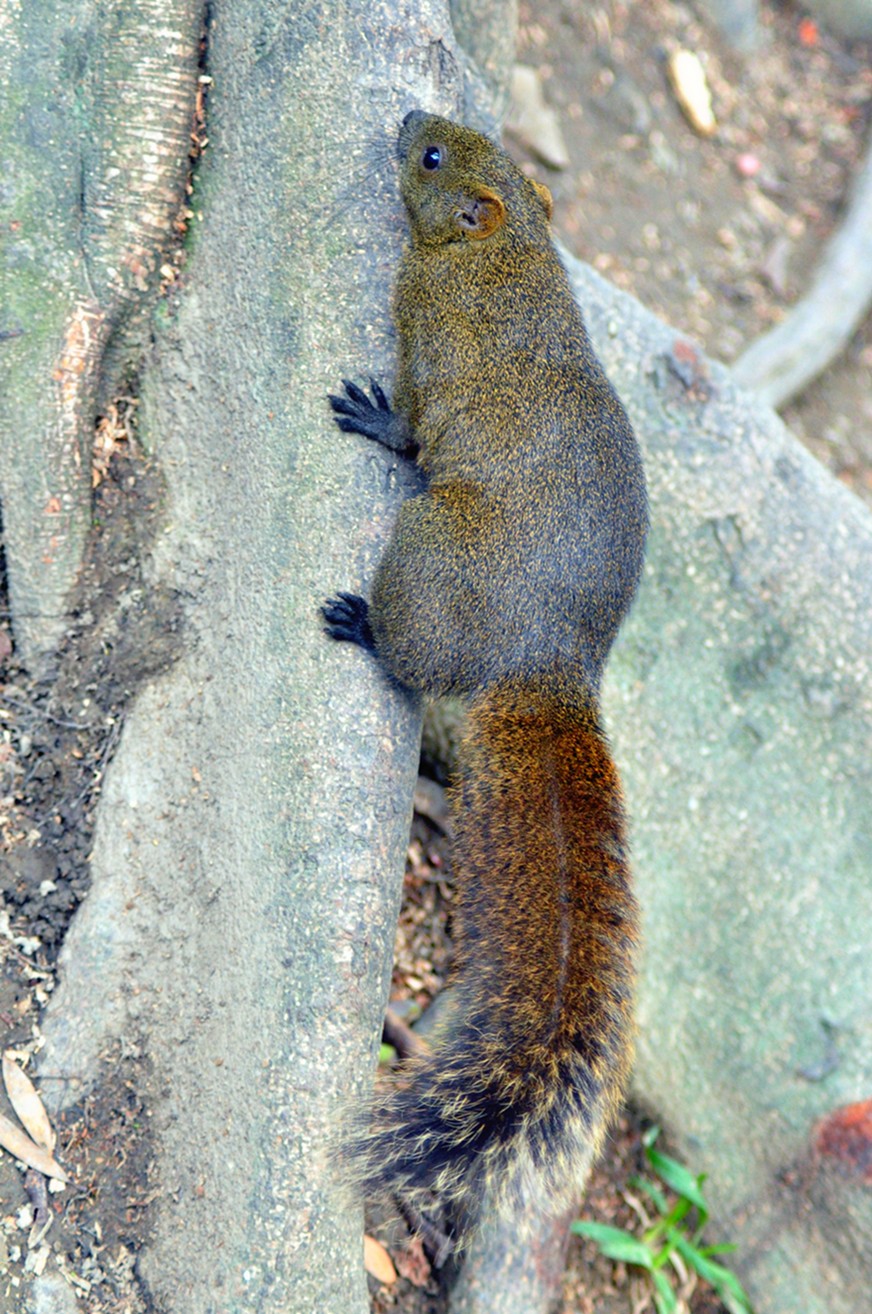 DSC_0385_副本.jpg