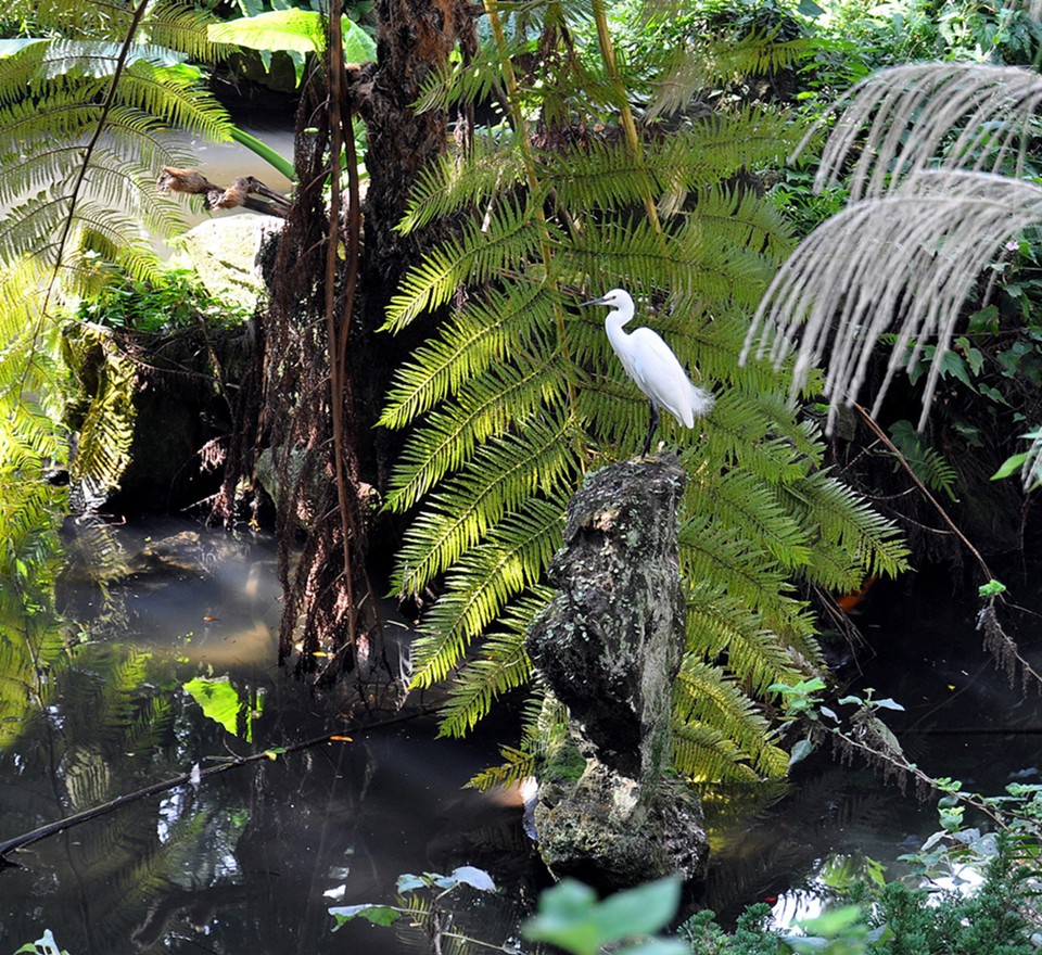 DSC_0494_副本_副本.jpg