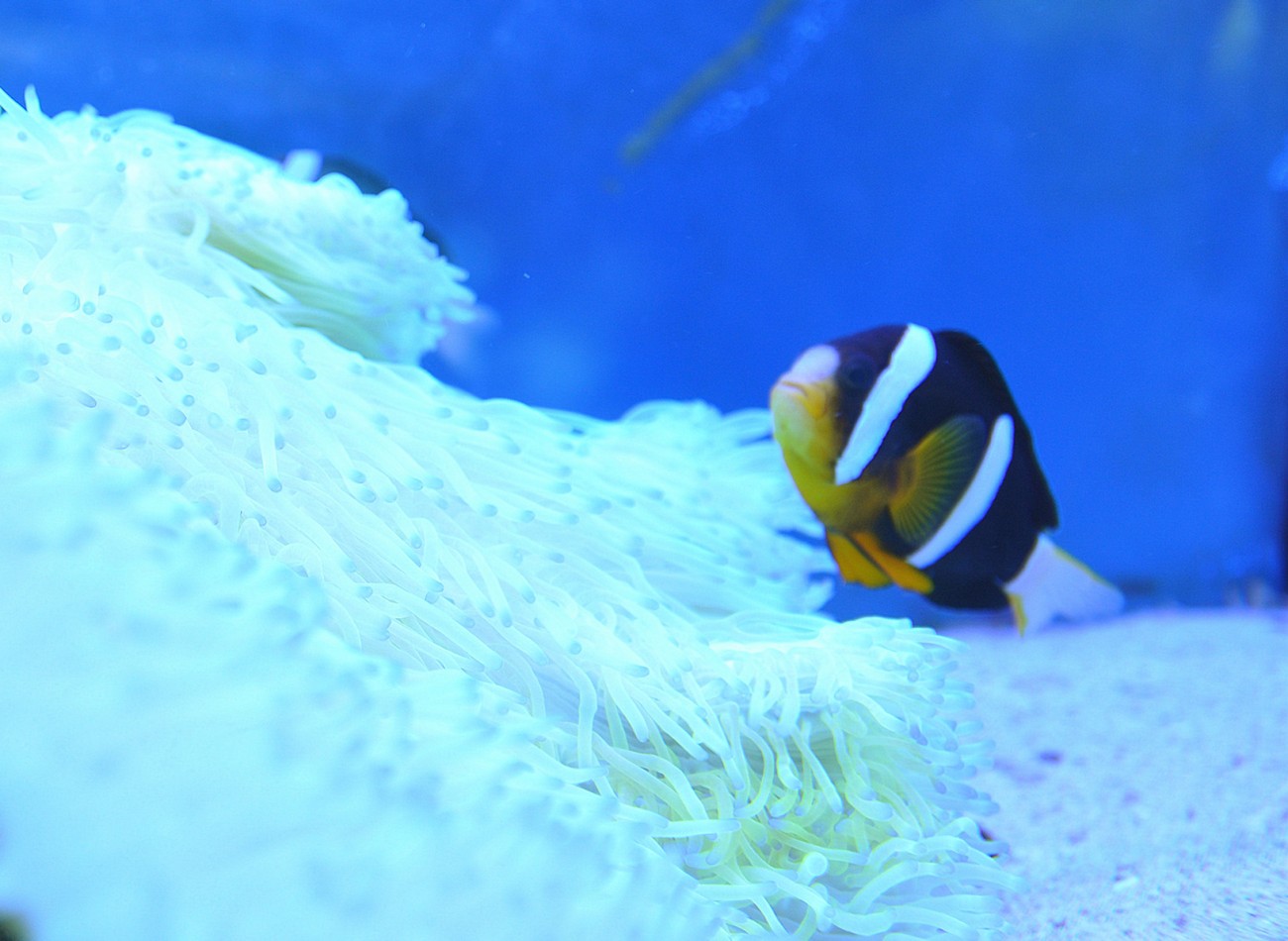 DSC_1115_副本_副本.jpg