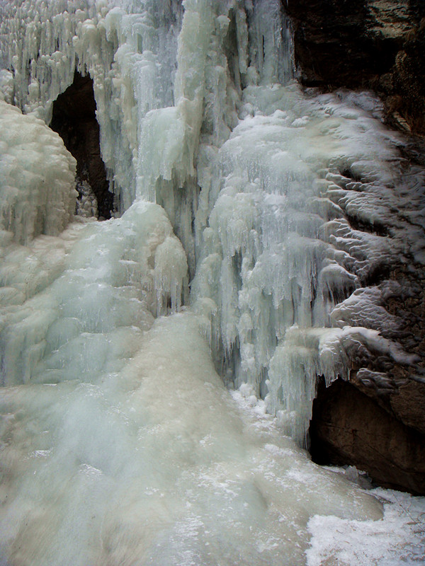 DSC08270_副本.jpg