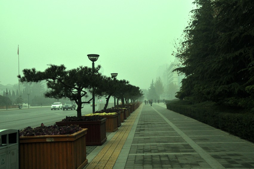 DSC_0015_conew1.jpg