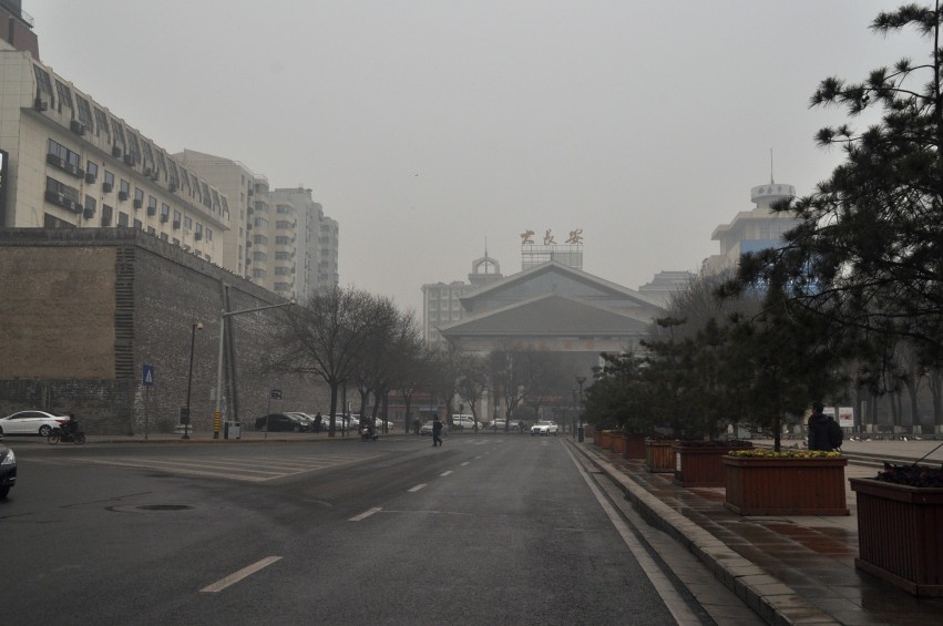 DSC_0068_conew1.jpg