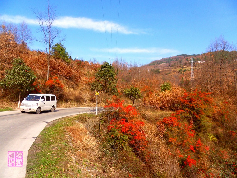 SDC17368_副本.JPG