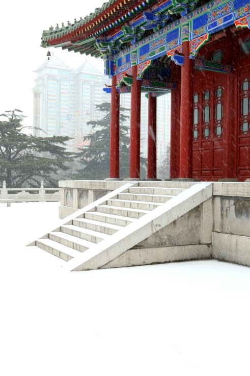 DPP_0013.JPG
