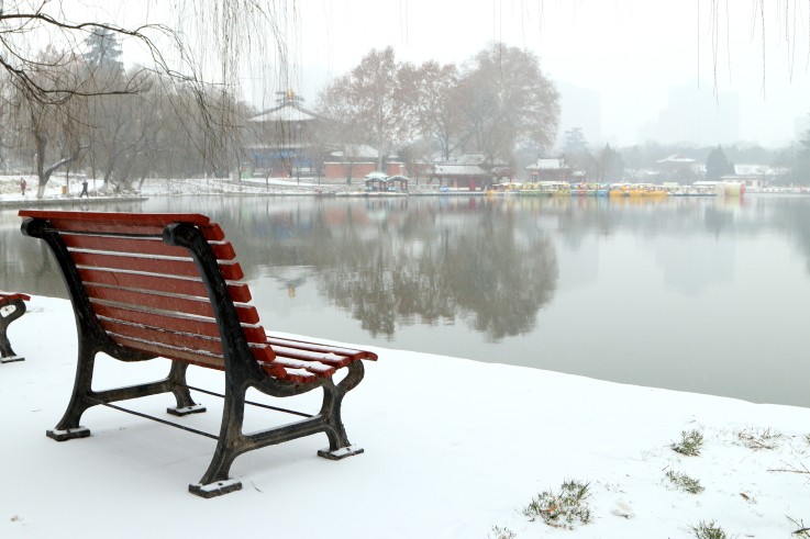 DPP_0023.JPG