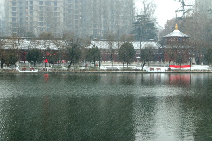 DPP_0025.JPG