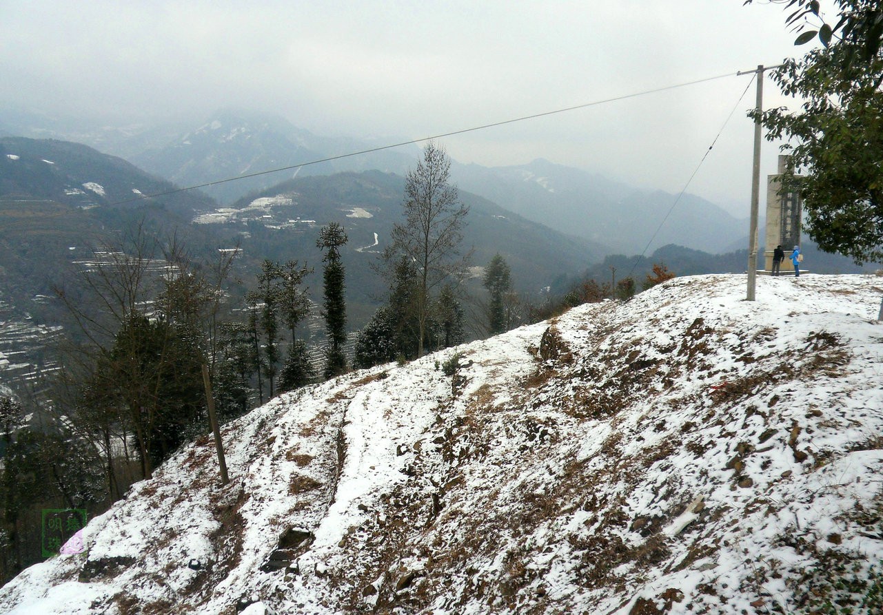 SDC11123_副本.JPG