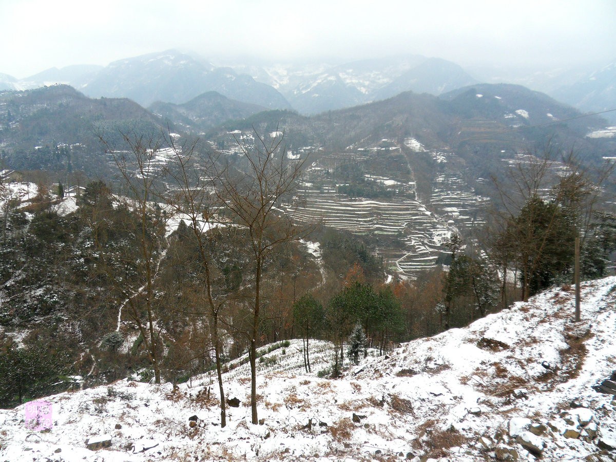 SDC11125_副本_副本.JPG