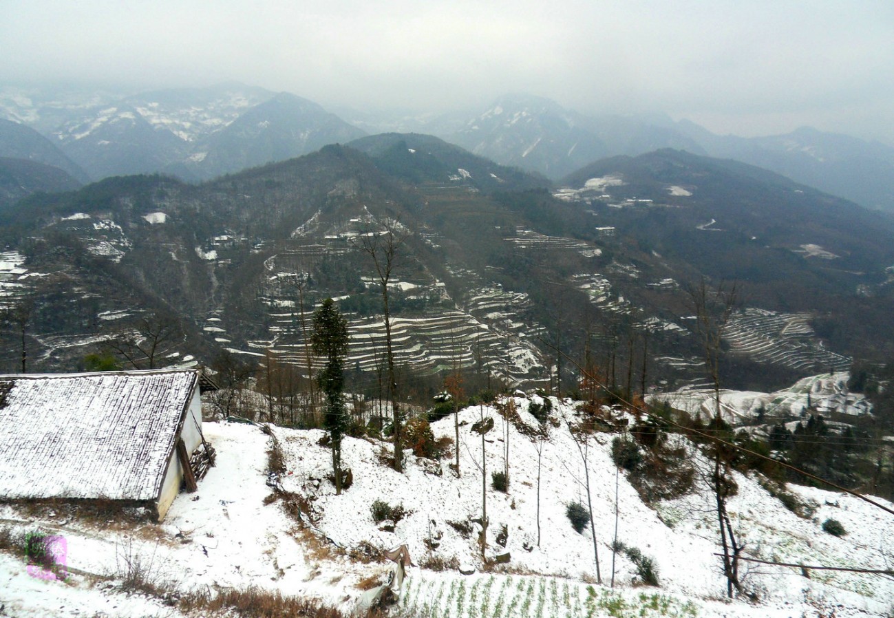 SDC11128_副本_副本.JPG