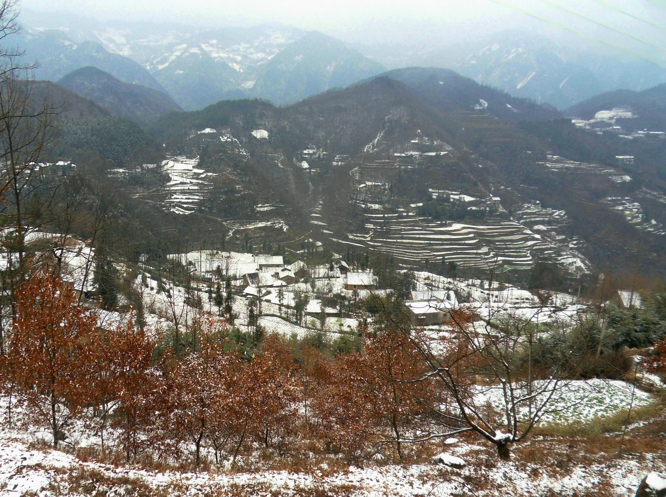 SDC11129_副本_副本.JPG