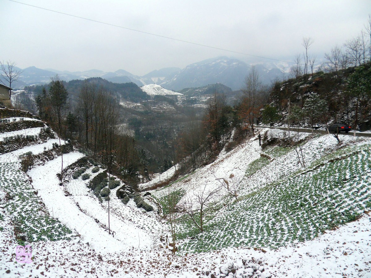 SDC11131_副本.JPG