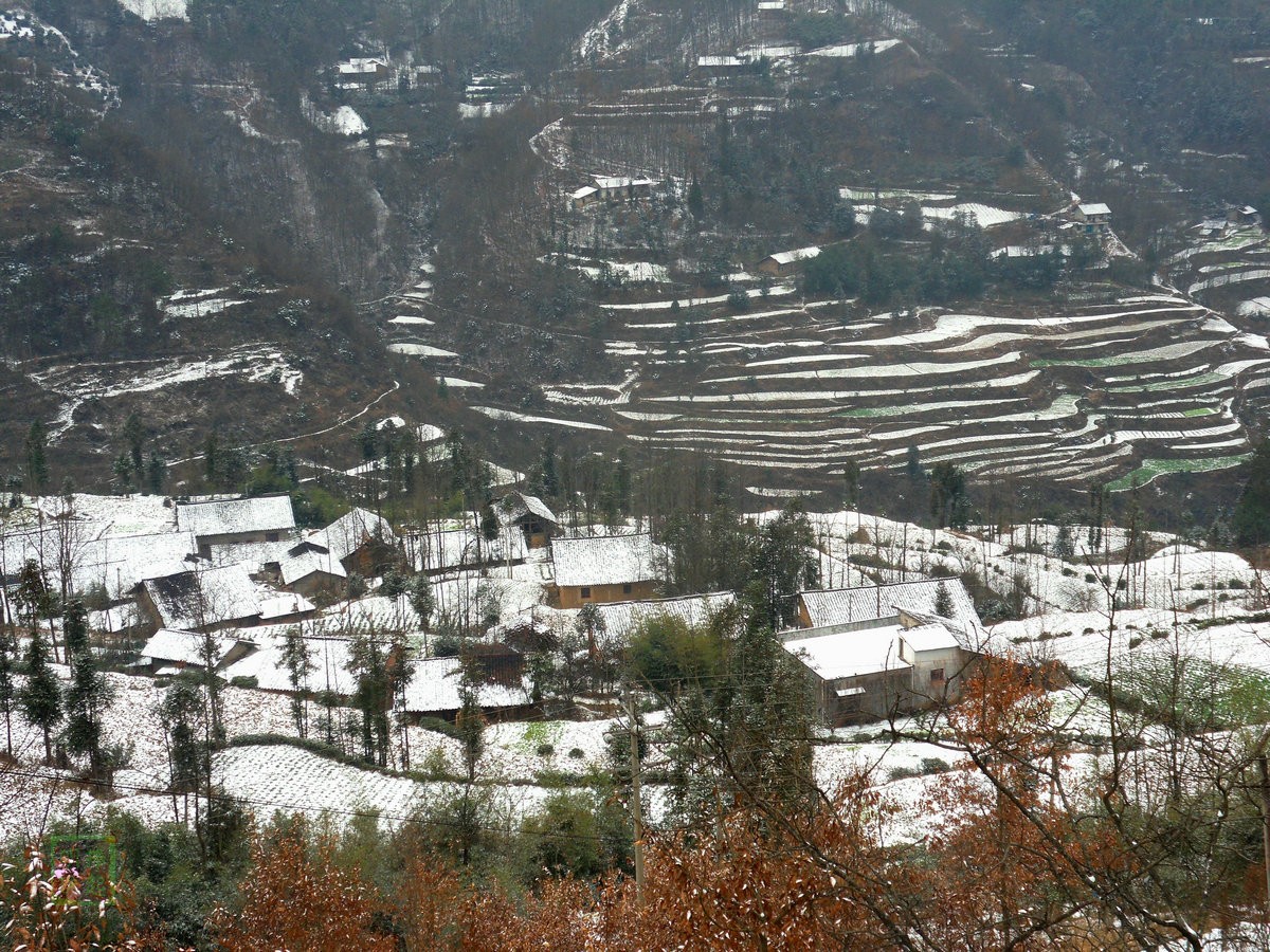SDC11130_副本_副本.JPG