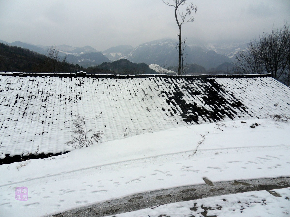 SDC11136_副本_副本.JPG
