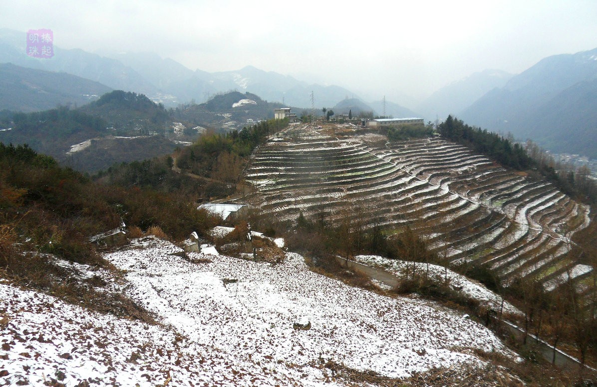 SDC11104_副本_副本1_副本.JPG