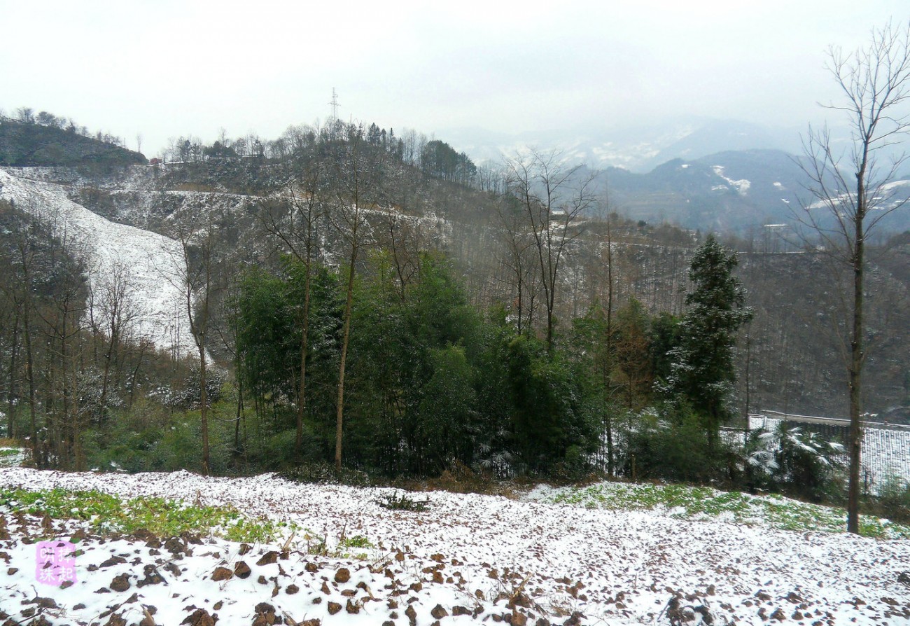 SDC11110_副本_副本.JPG