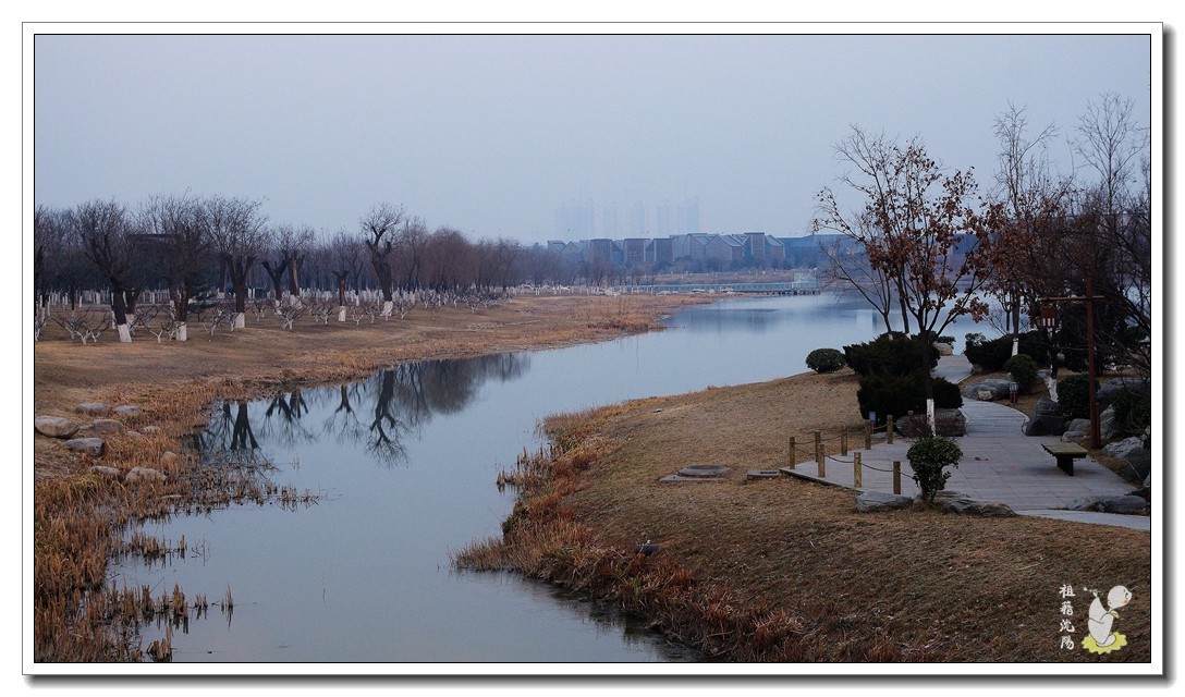 IMGP9683.jpg