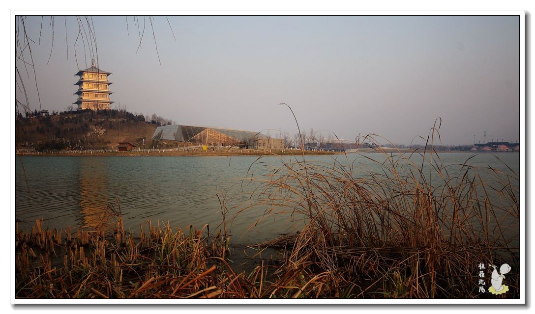 IMGP9739.jpg
