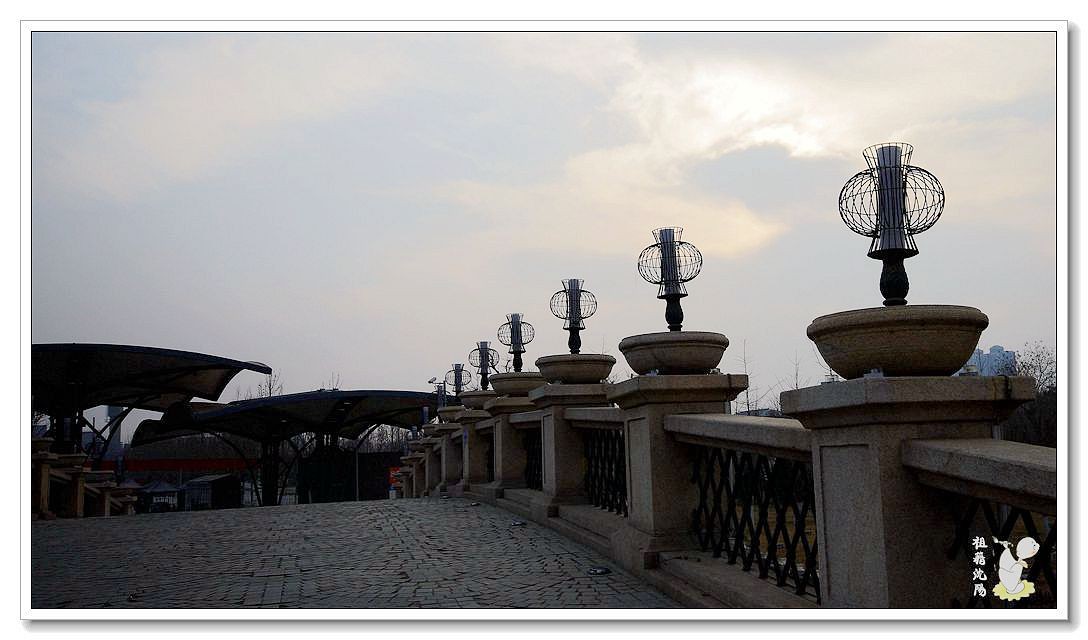 IMGP9853.jpg
