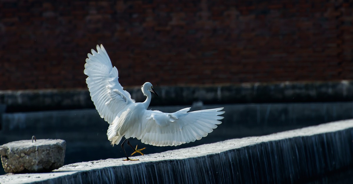 nEO_IMG_DSC_2257.jpg