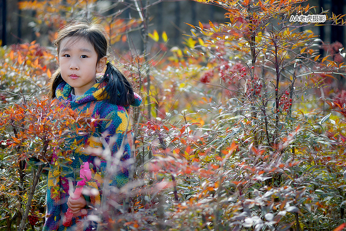 DSC_3044_副本.jpg