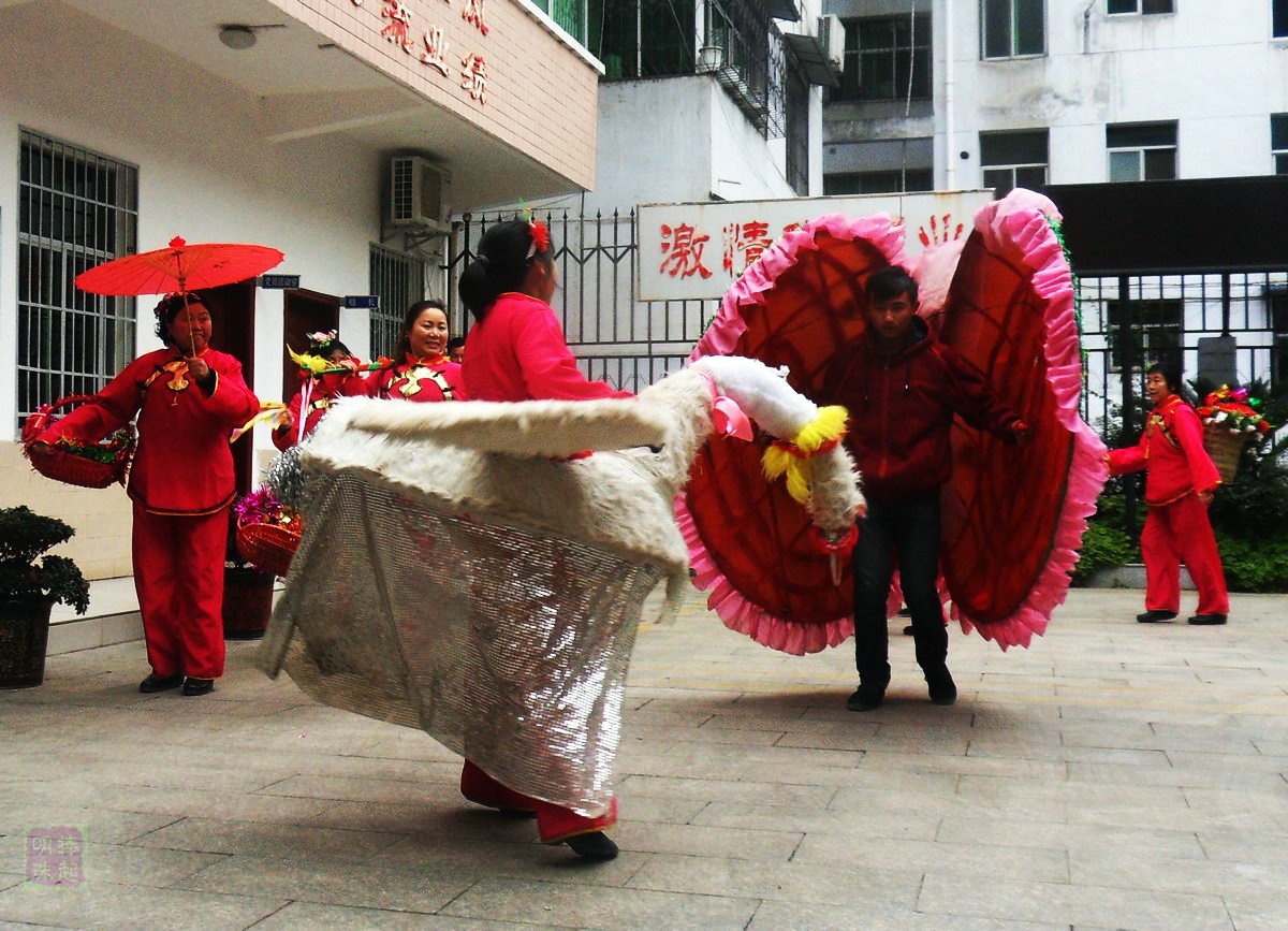 SDC12430.JPG