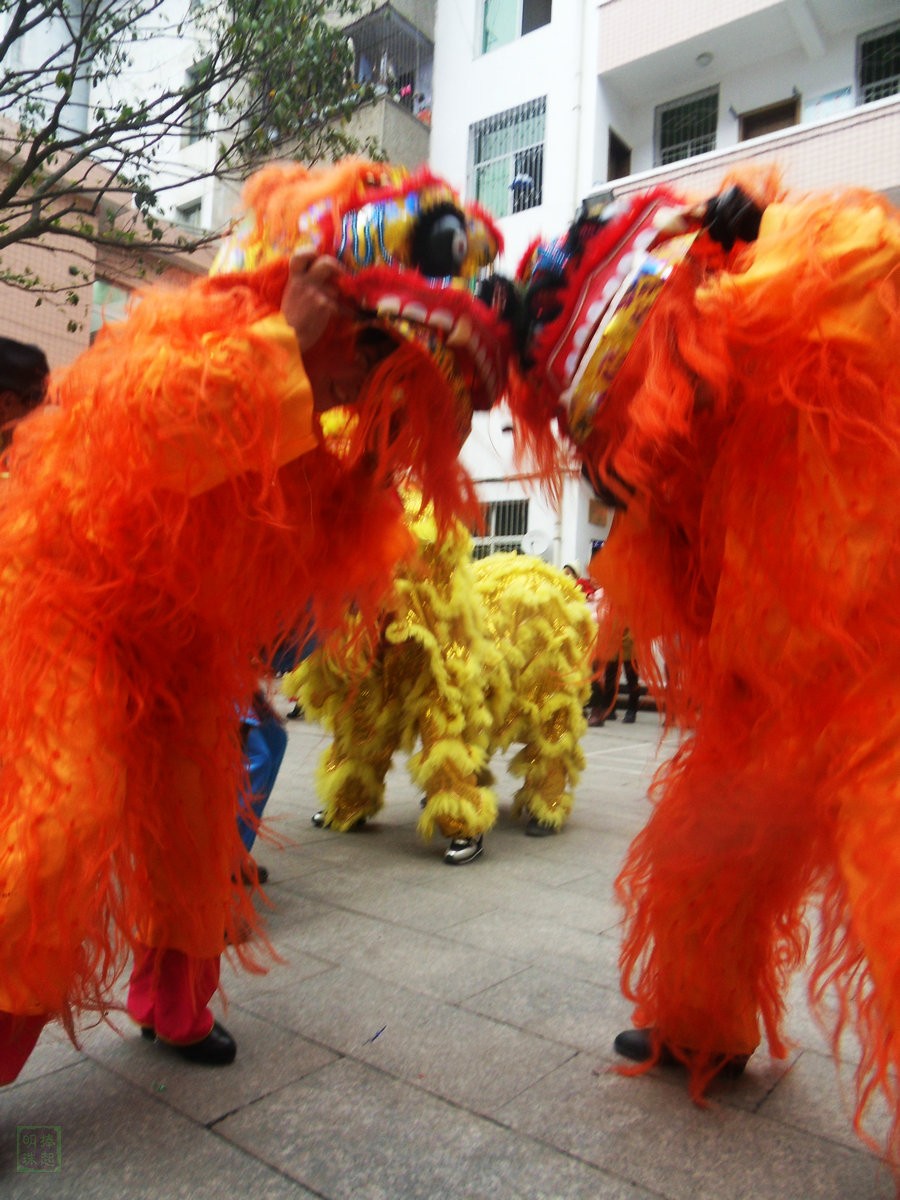 SDC12511.JPG