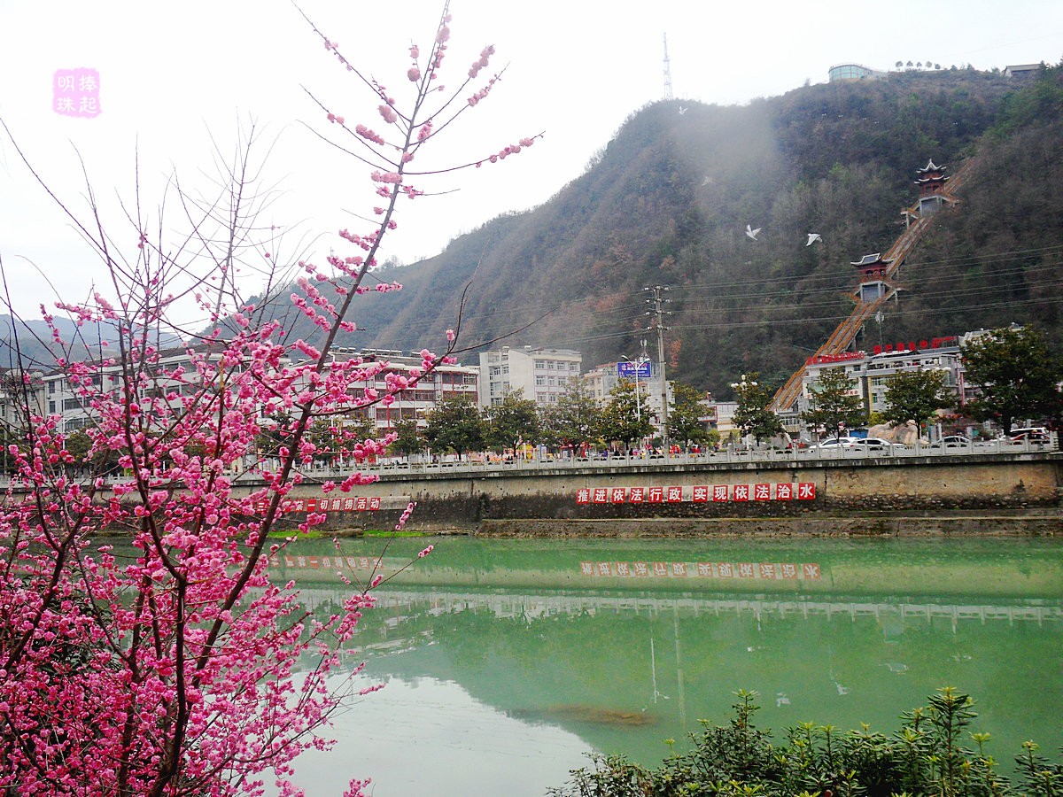 SDC12548.JPG