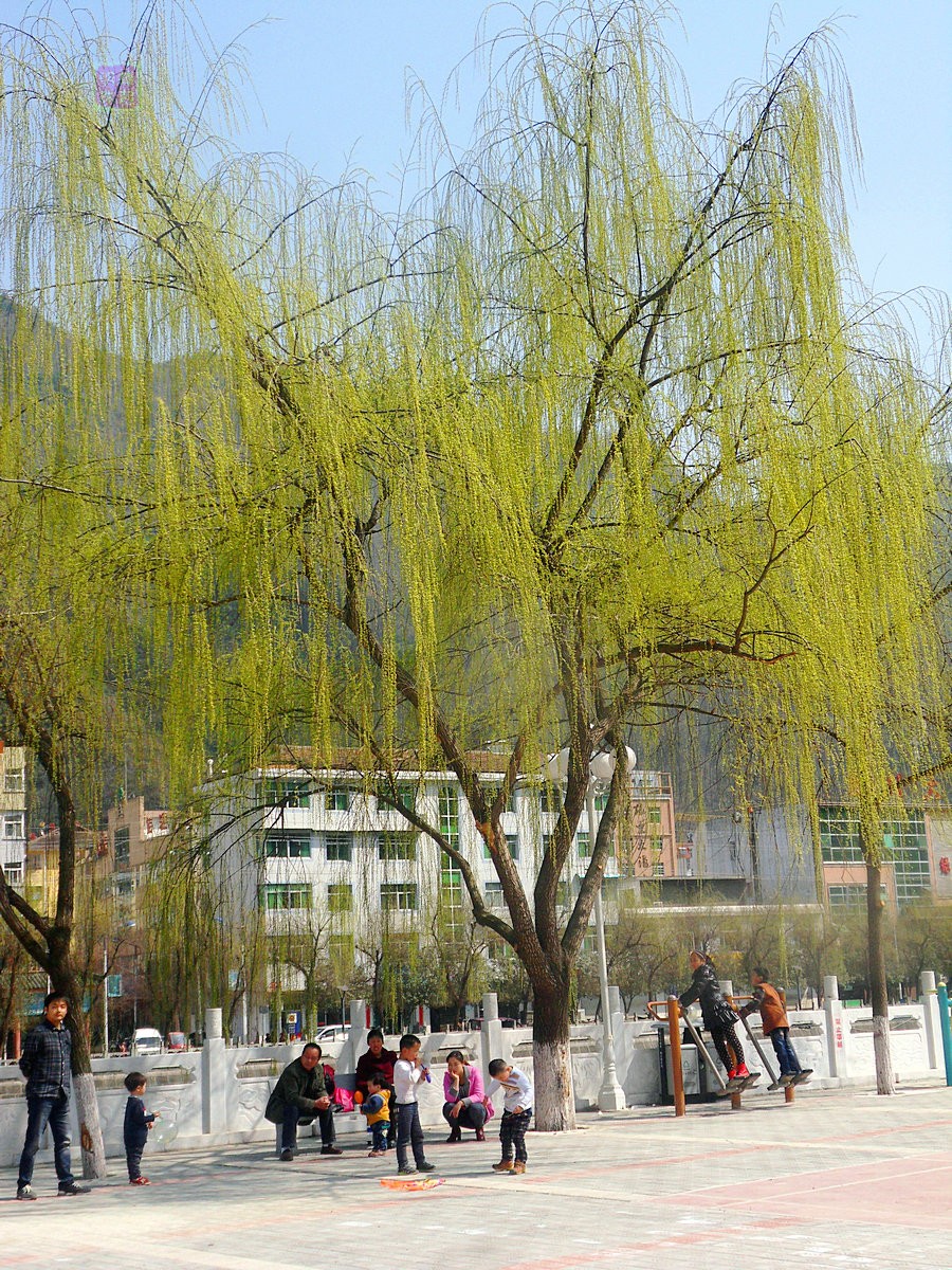 SDC12942_副本.JPG