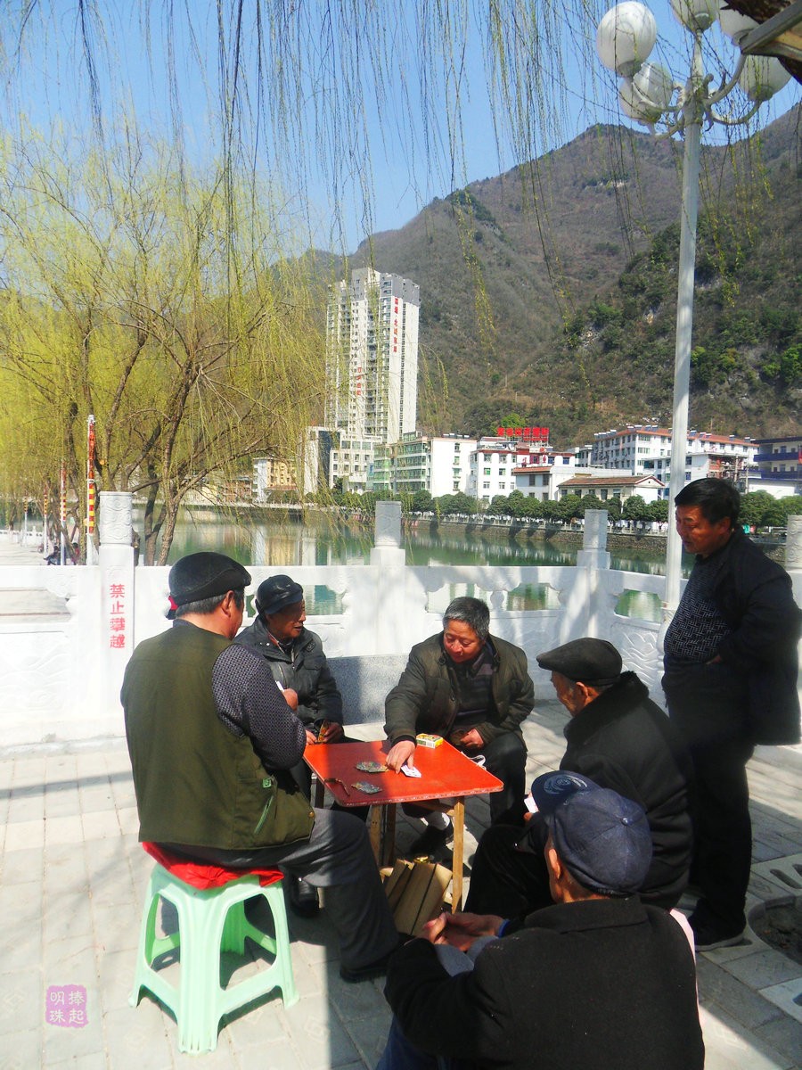 SDC12951.JPG