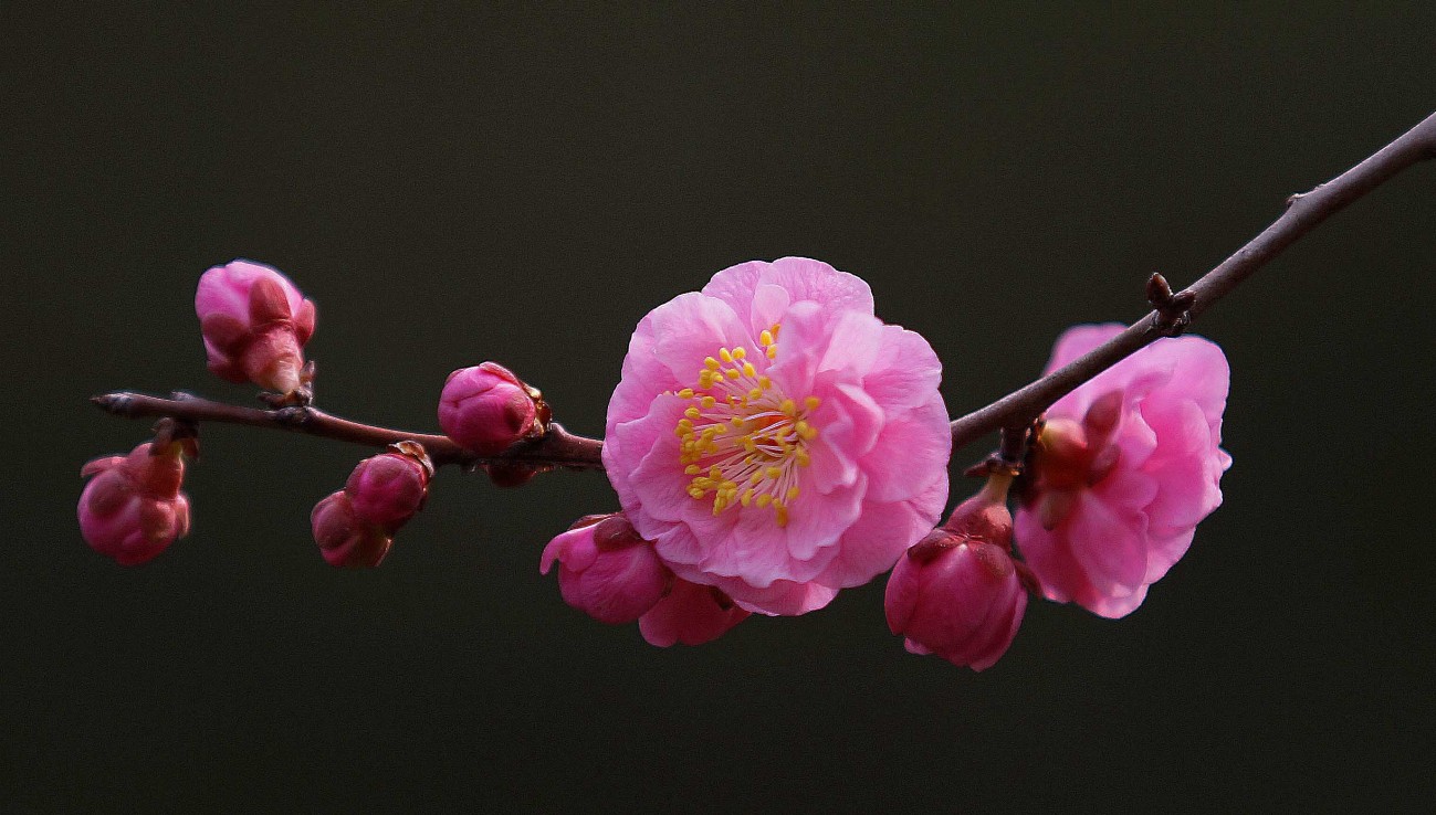 DSC00046_副本压.jpg
