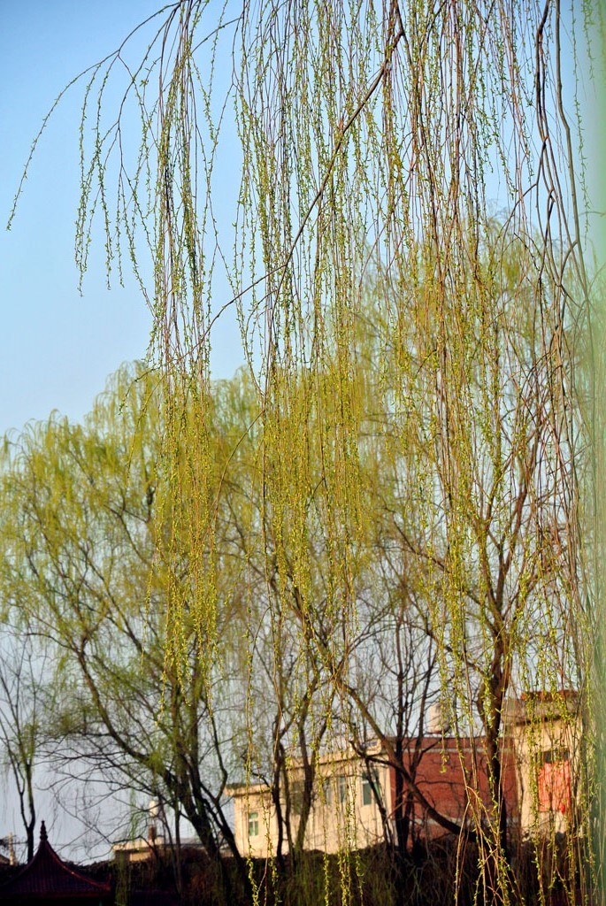 DSC_4912副本.jpg
