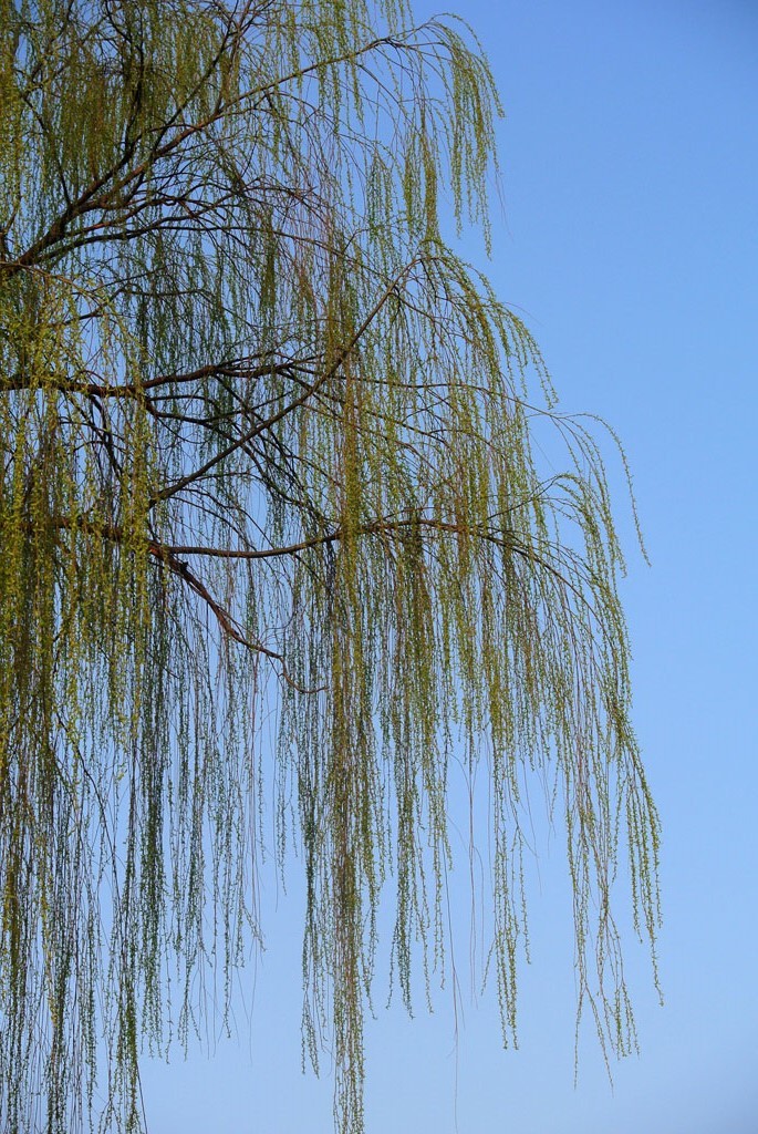 DSC_4914副本.jpg