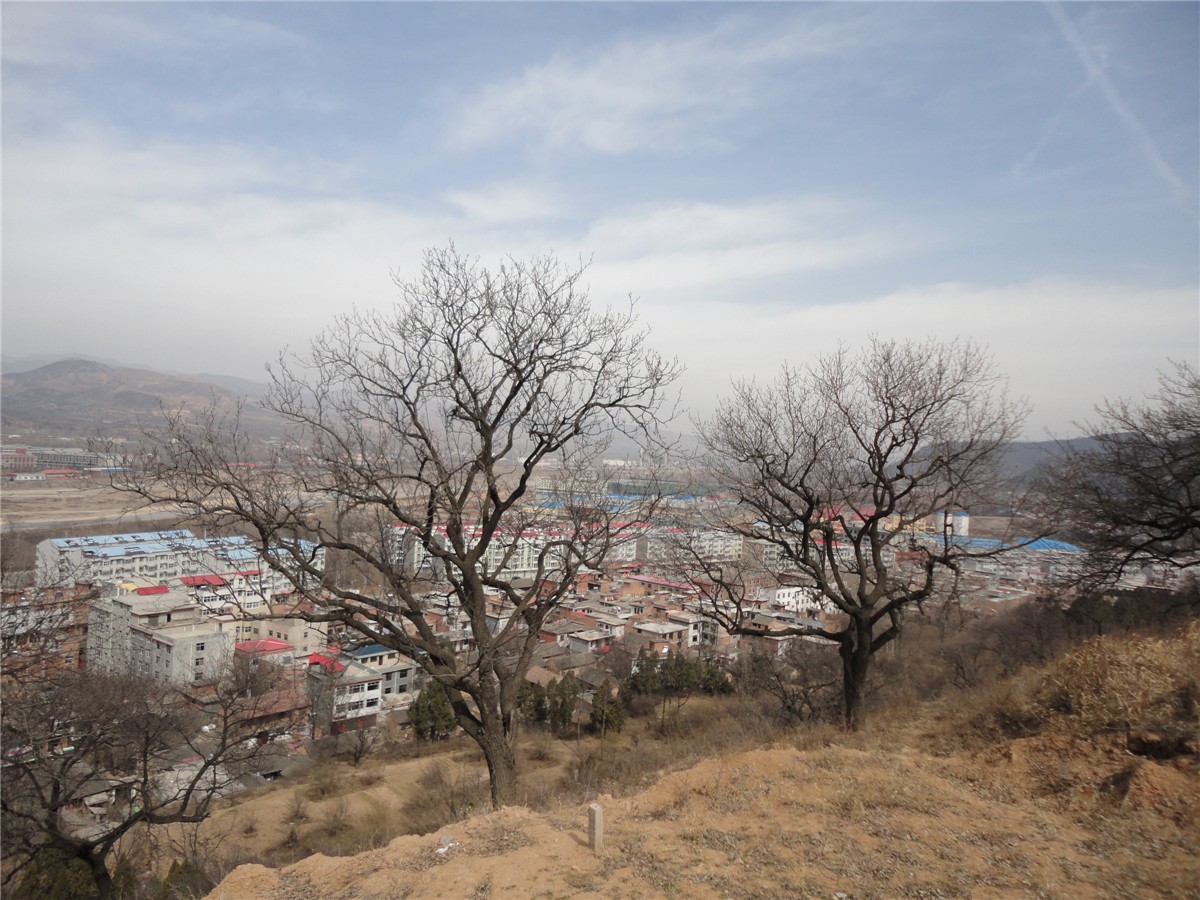 DSC09909_副本.jpg